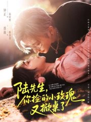 Господин Лу, подобранная вами роза снова в ярости (2025)